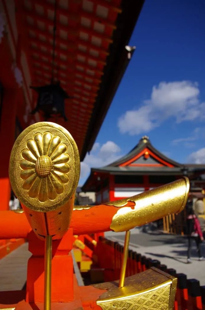 数码单反编年史黄金时代宾得篇,宾得数码单反大全