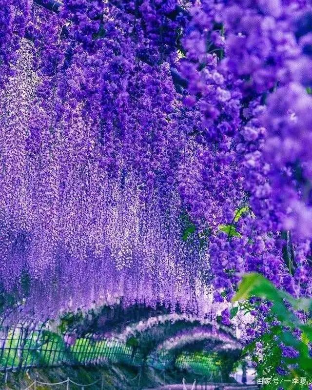 陈仁德诗,陈仁德西江月填词