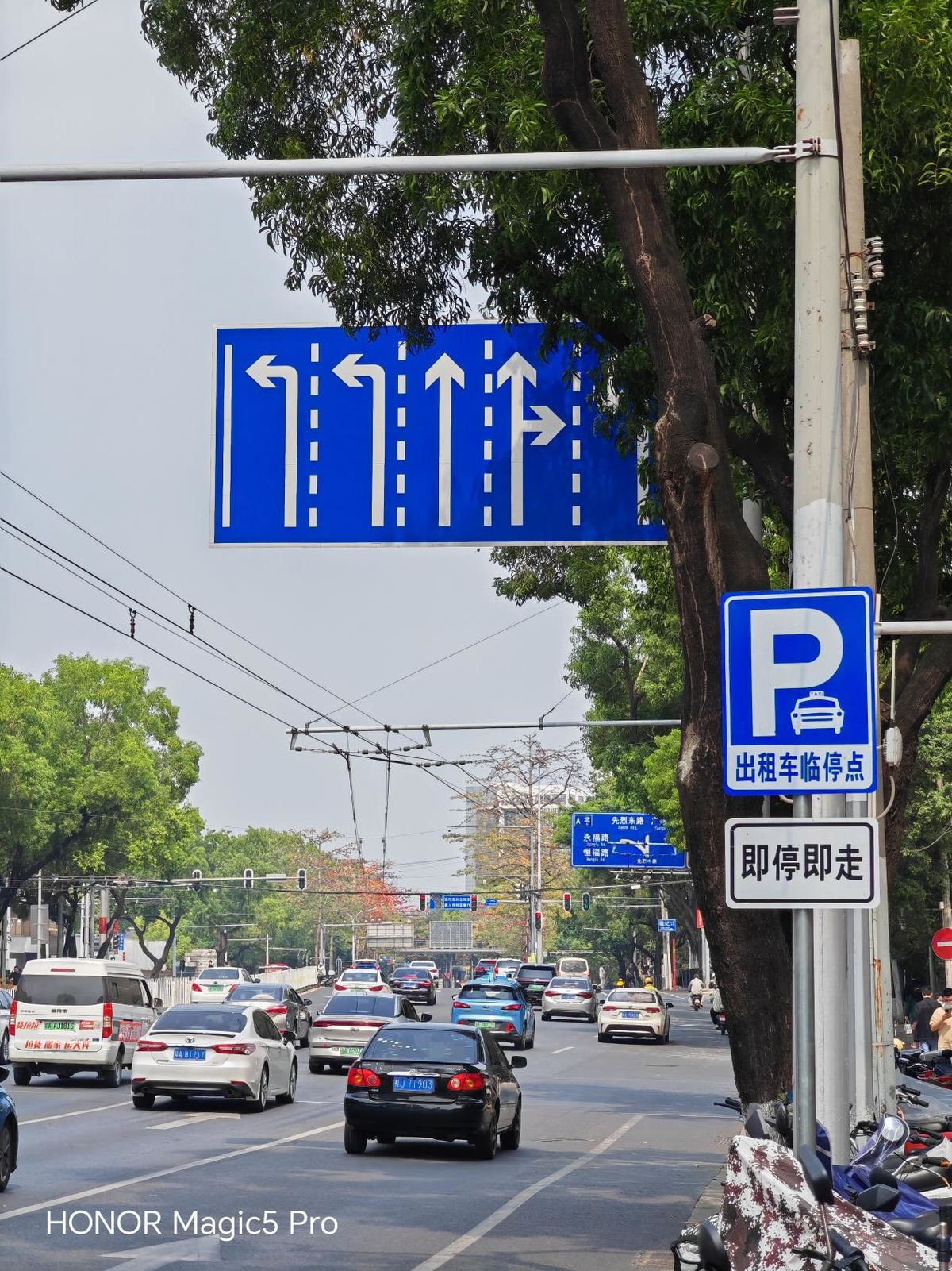 荣耀magic3pro主摄拍照质量,荣耀magic3pro主摄