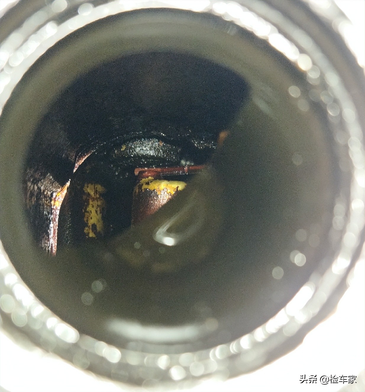 超过15年的丰田普拉多值得买吗,15年车龄的丰田普拉多还能买吗