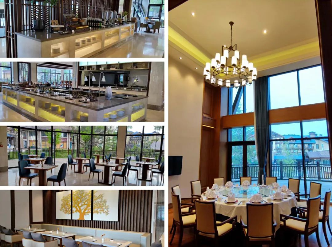 失控玩家2完整版,失控玩家游戏攻略