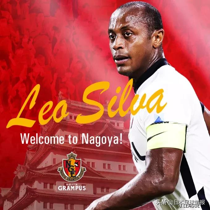 日职联巡礼2024,2024赛季日职联各队巡礼