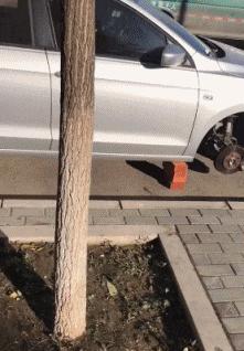 我想问一下这到底是足球还是篮球呢？这电棒是干什么用的