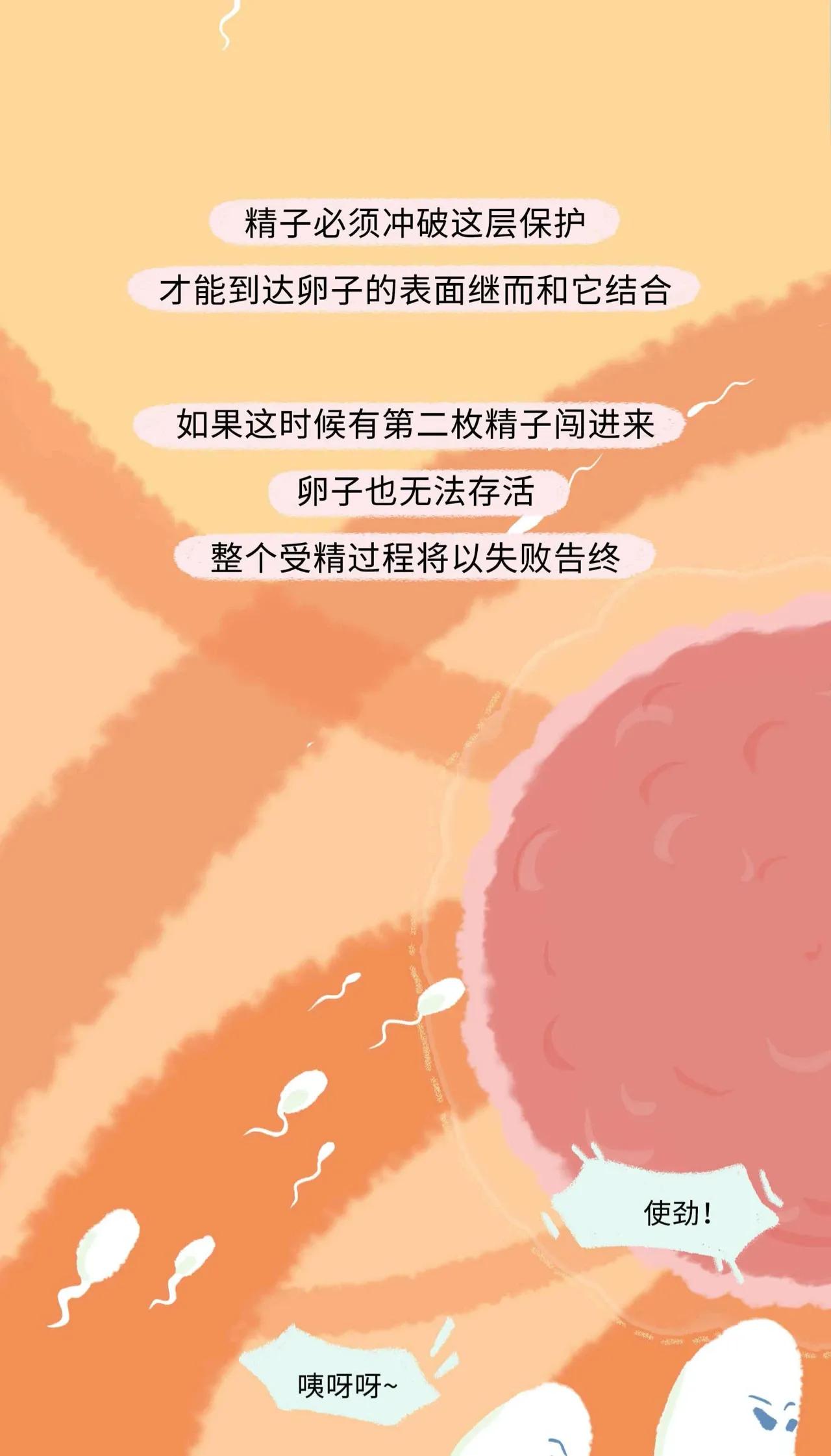 精子进入女生体内的全过程曝光！太励志了吧！