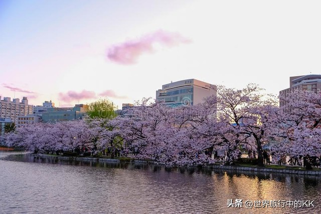 畅游日本的四个重要步骤,畅游日本