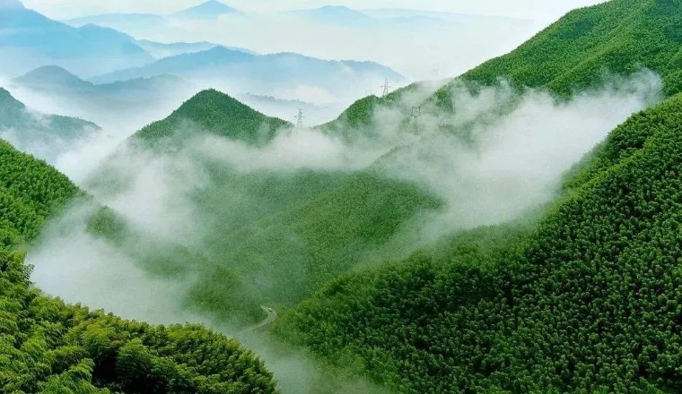 安吉阿丽拉酒店概况,浙江湖州安吉阿丽拉酒店