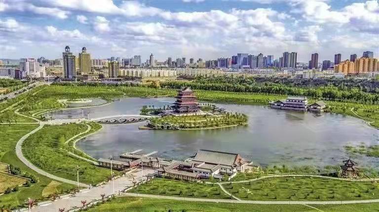 榆林西部经济实力,陕西榆林市第一镇排名