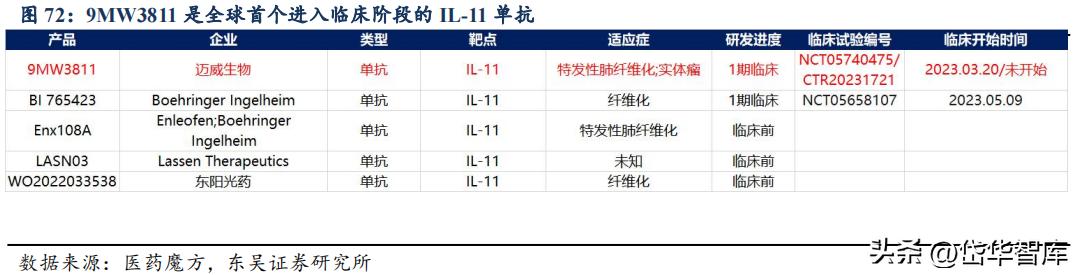 有效避开内卷，迈威生物：ADC锋芒初显，快速成长的Biopharma