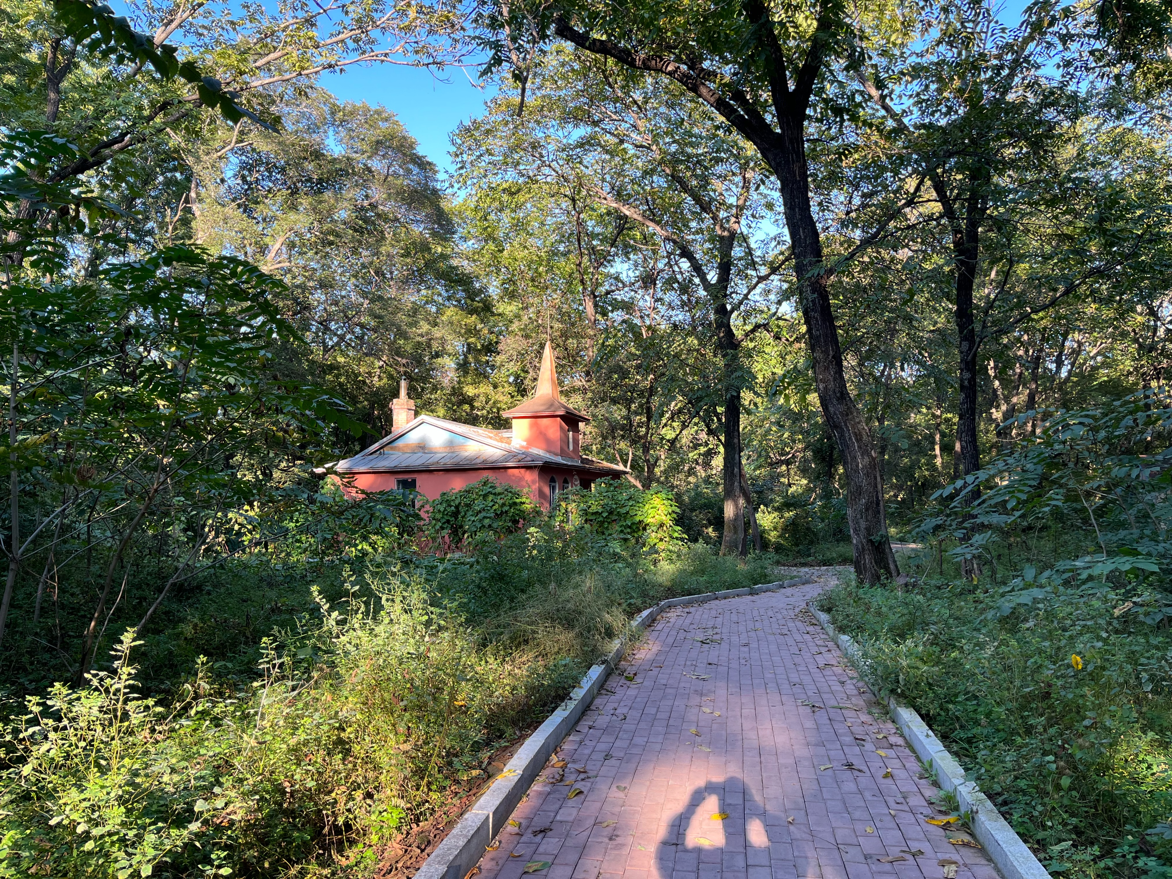 夫妻自驾11000公里,夫妻两人自驾游最新视频