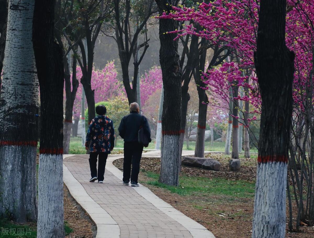 孙子看到奶奶就叫：臭奶奶！婆婆愤怒：孩子你们不管我来替你们管