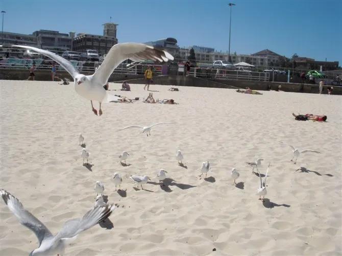 澳大利亚旅游地图,澳大利亚著名旅游景点地图