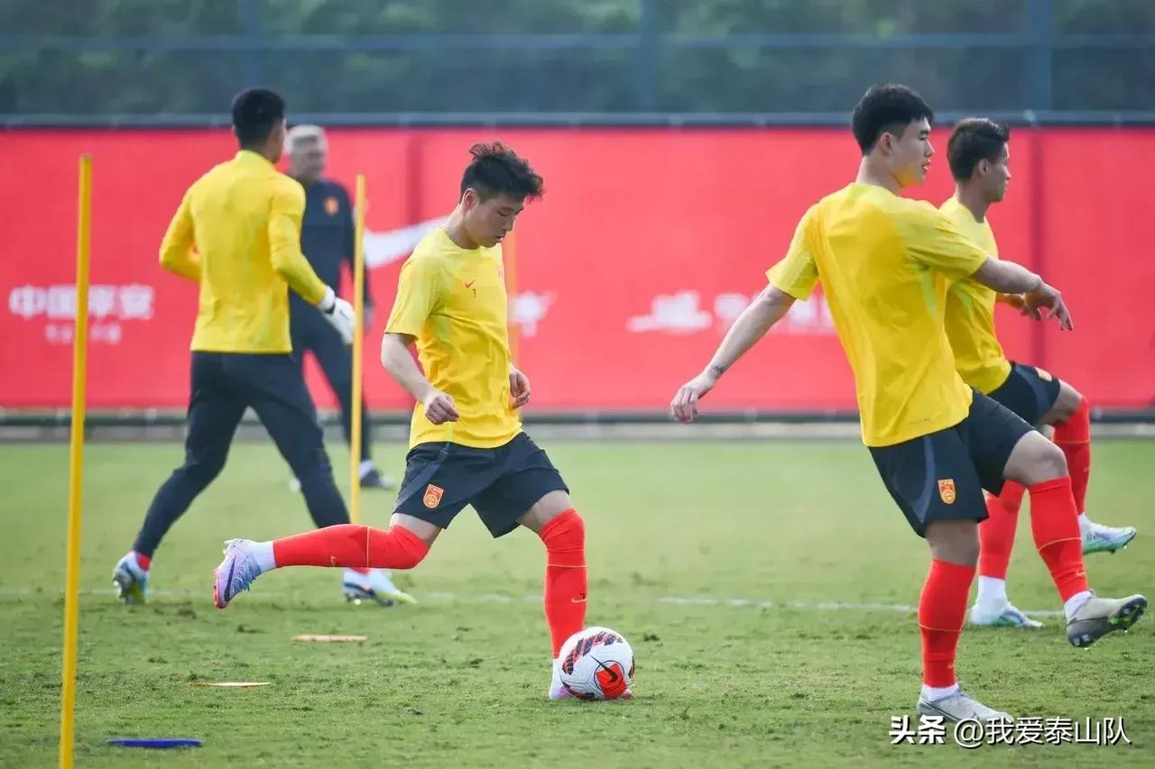 国足vs新西兰比分预测,国足对新西兰阵容