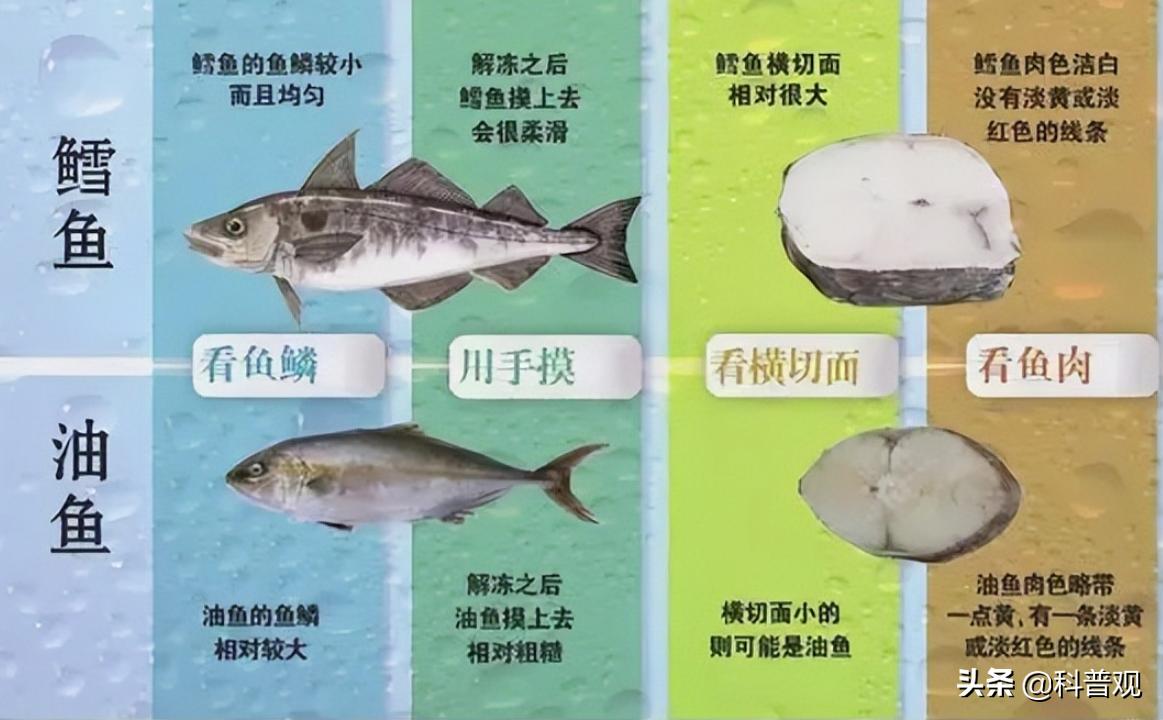 油鳕鱼吃了对人体有害吗,油鱼为什么吃了会漏油