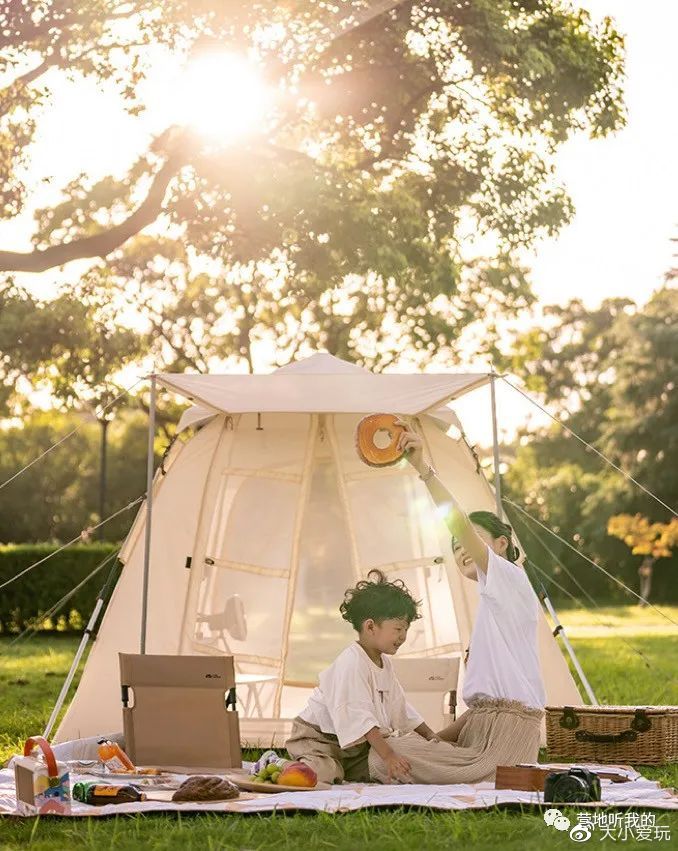 纠结买两百多的云台还是九百多的,纠结买不买野餐帐篷