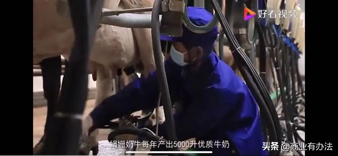 娟姗牛奶进价是多少钱,娟姗牛奶价格表