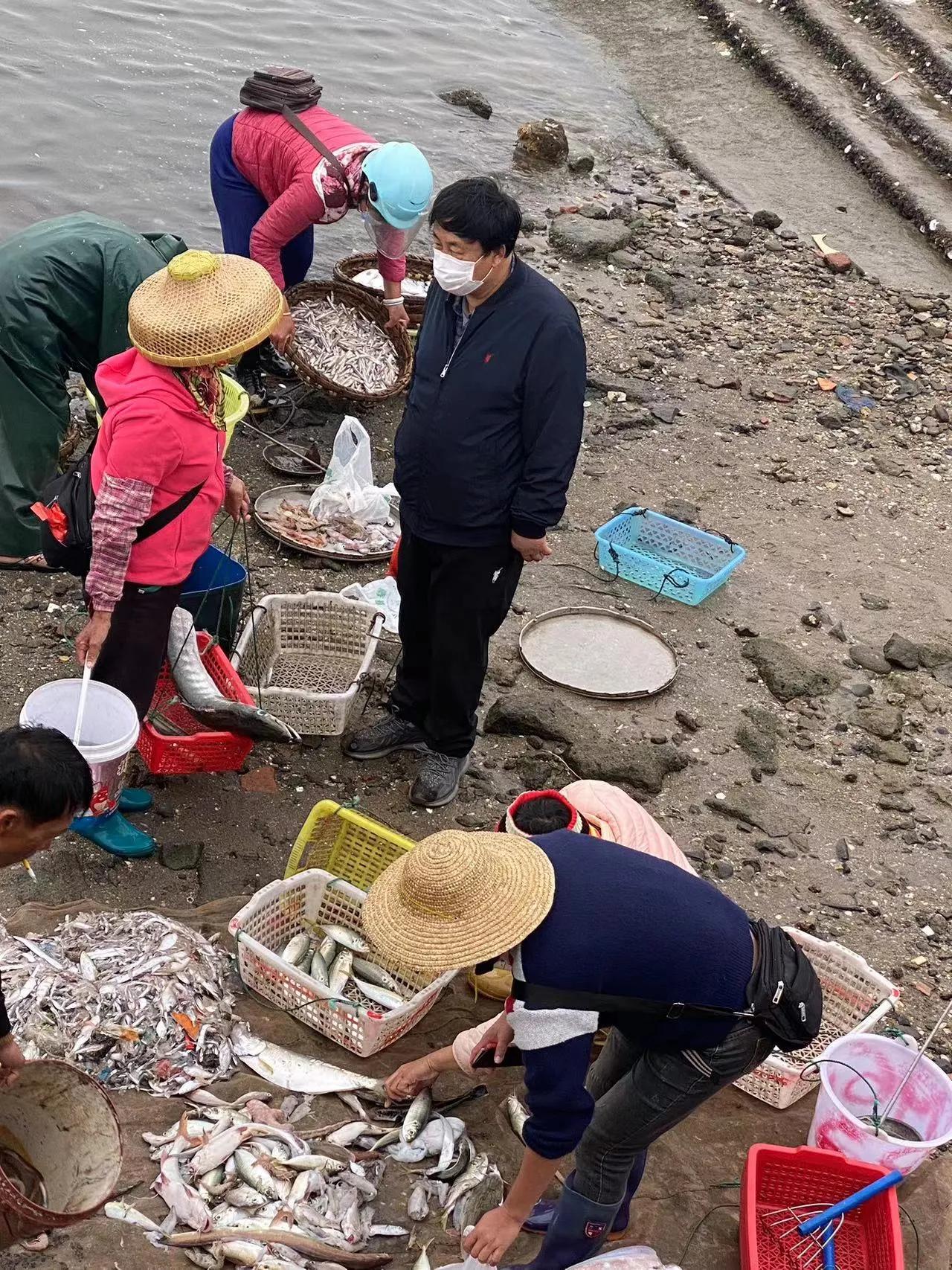 澄迈东水港渔码头,海南澄迈东水码头