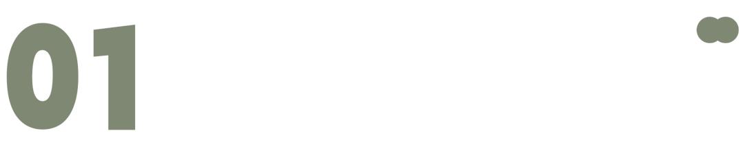 五五购物节上海哪里直播,五五购物节开幕式直播