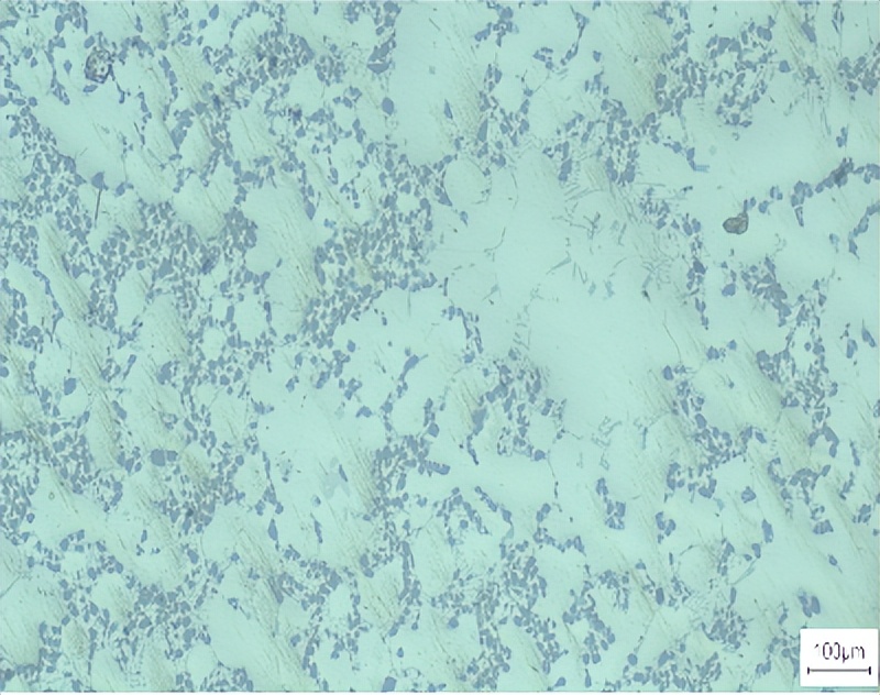 文昌新材徐骏教授：电磁搅拌吸铸技术及其在铝陶复合材料中的应用