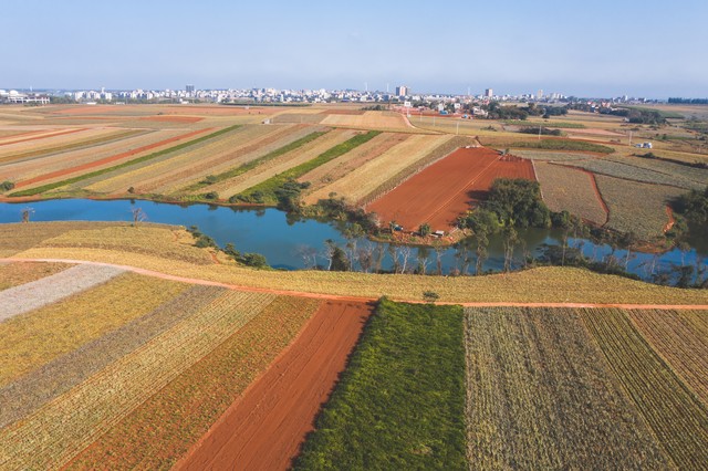 我，20年辞掉年薪15万的工作，到湛江种植南瓜，2年赚到100多万