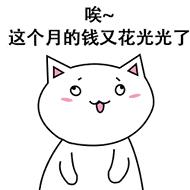 记账软件哪家强,记账软件的推荐