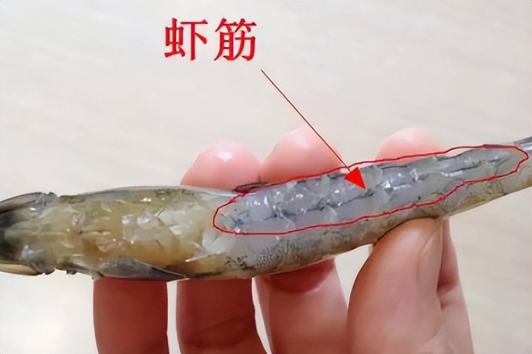虾身上的虾线为什么不能吃,虾线到底是不是虾的粪便呢