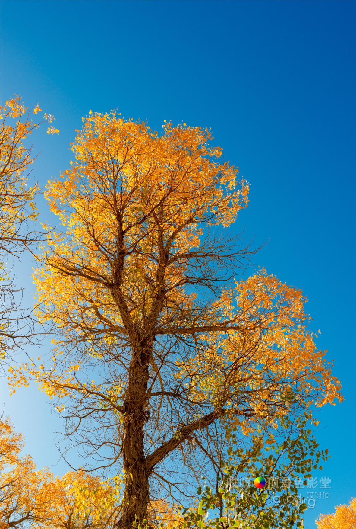 女司机带娃去新疆自驾游,带着女司机自驾游兰州