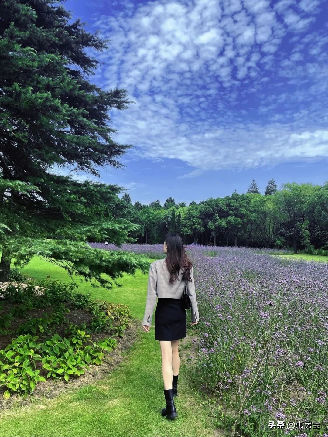 上海公园免费,上海免费公园排行