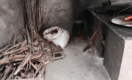 梅花香自苦寒来人生感悟,梅花香自苦寒来的上一句是什么