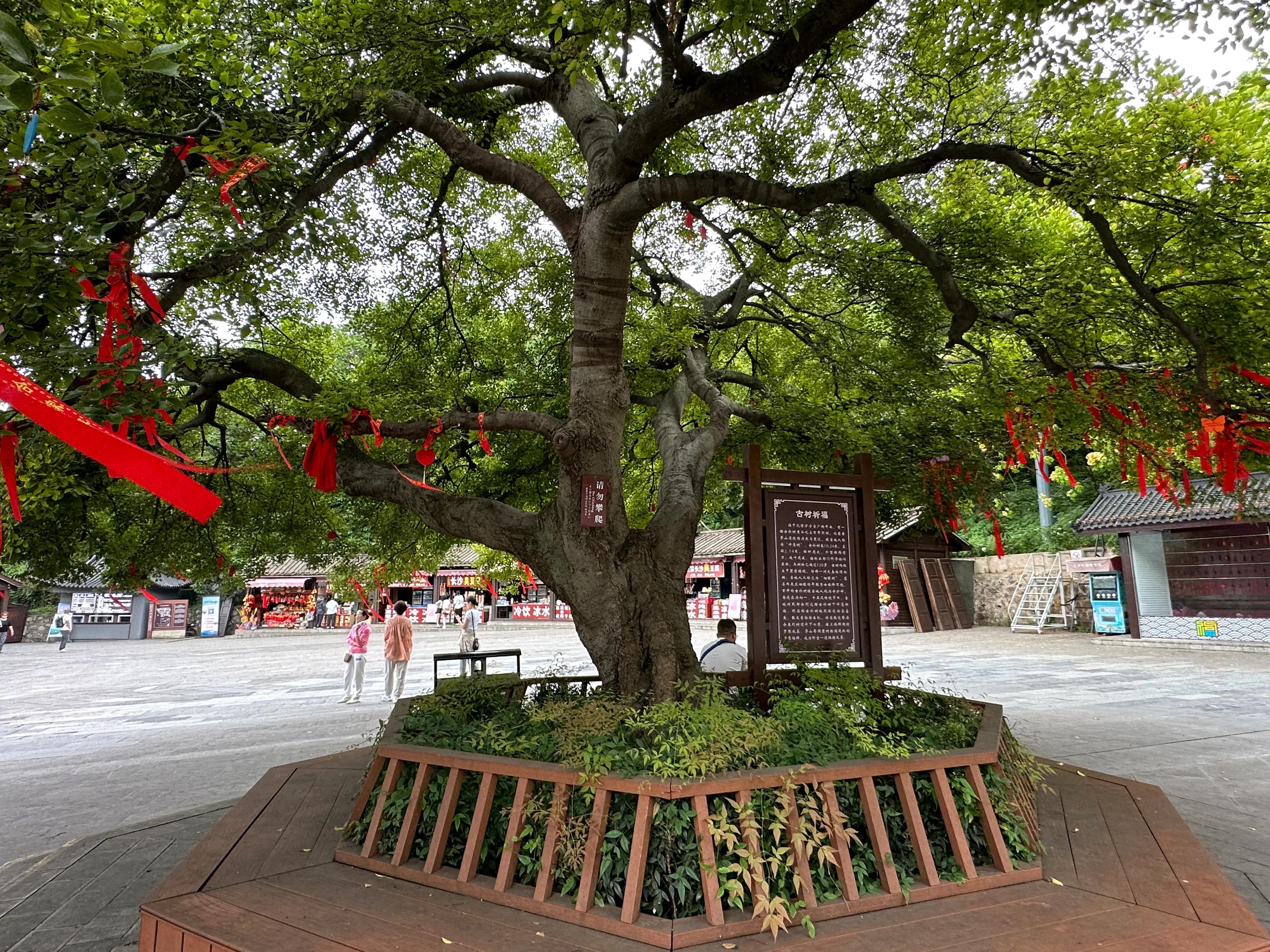 南京溧阳天目湖,南京茅山简介