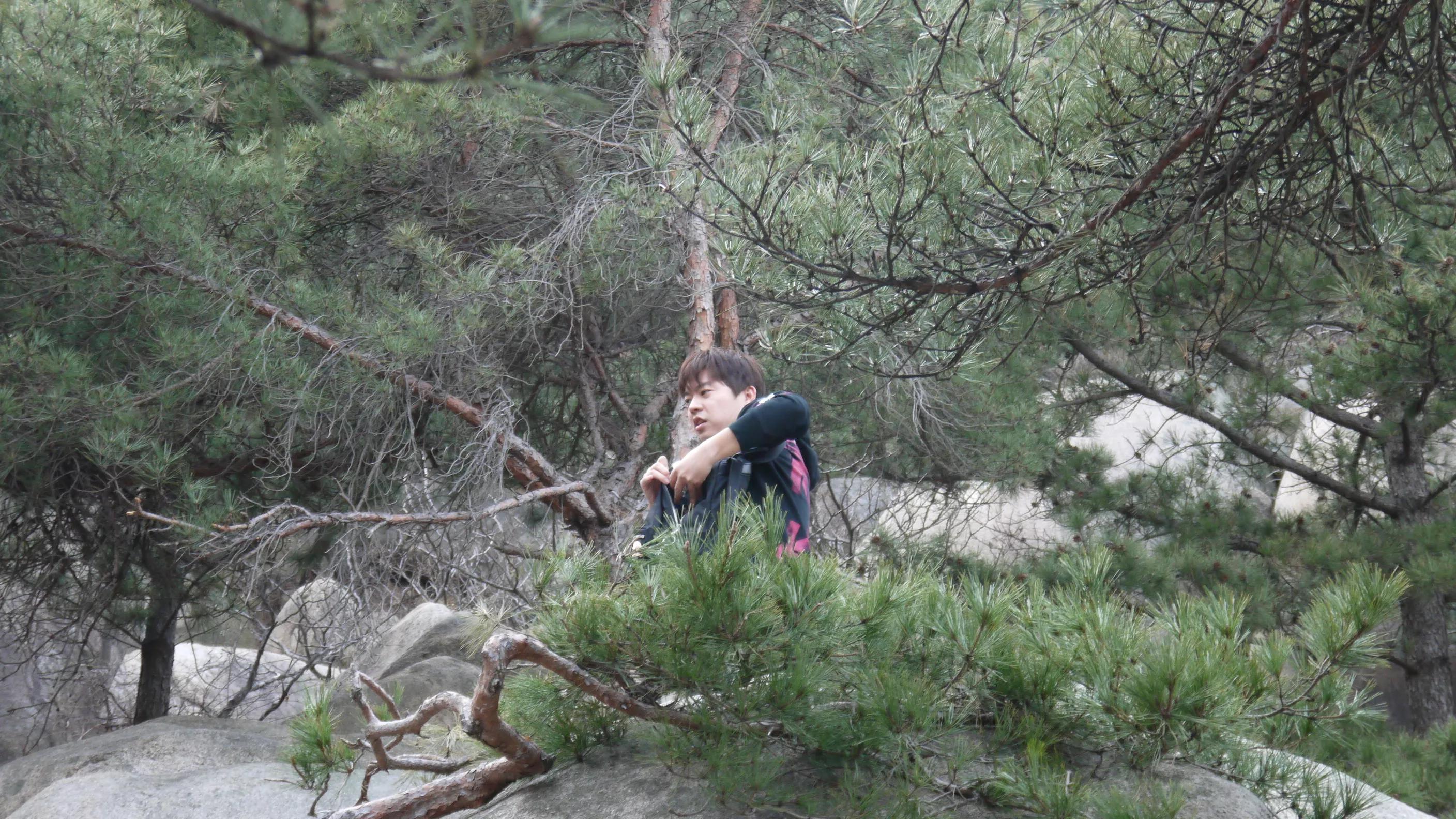 闈掑矝宕傚北浠板彛绱㈤亾,闈掑矝宕傚北浠板彛璧舵捣