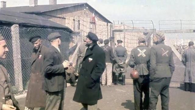 德国政府外交部,德国的中央政府