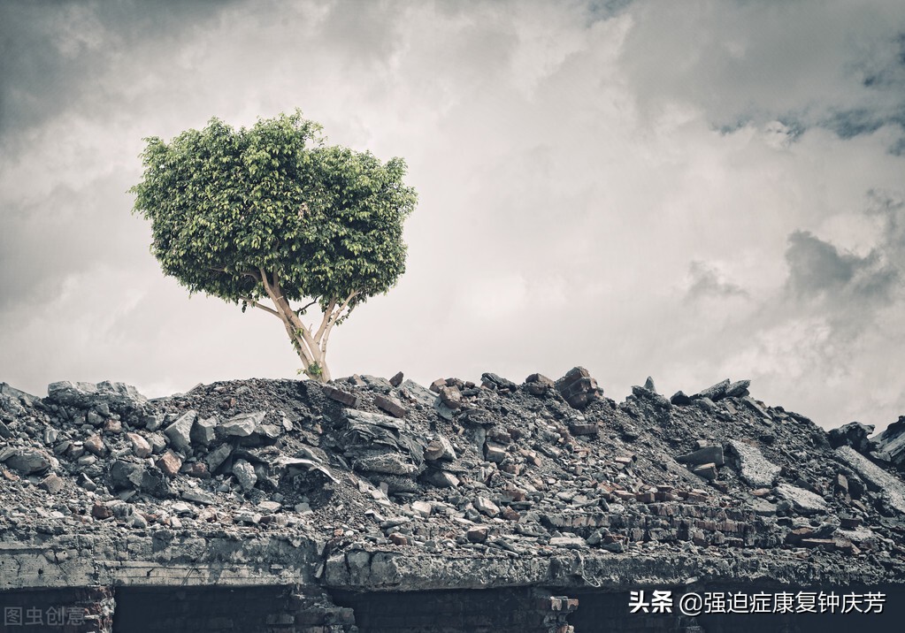 强迫症治好了就是重生,强迫症彻底痊愈的感悟