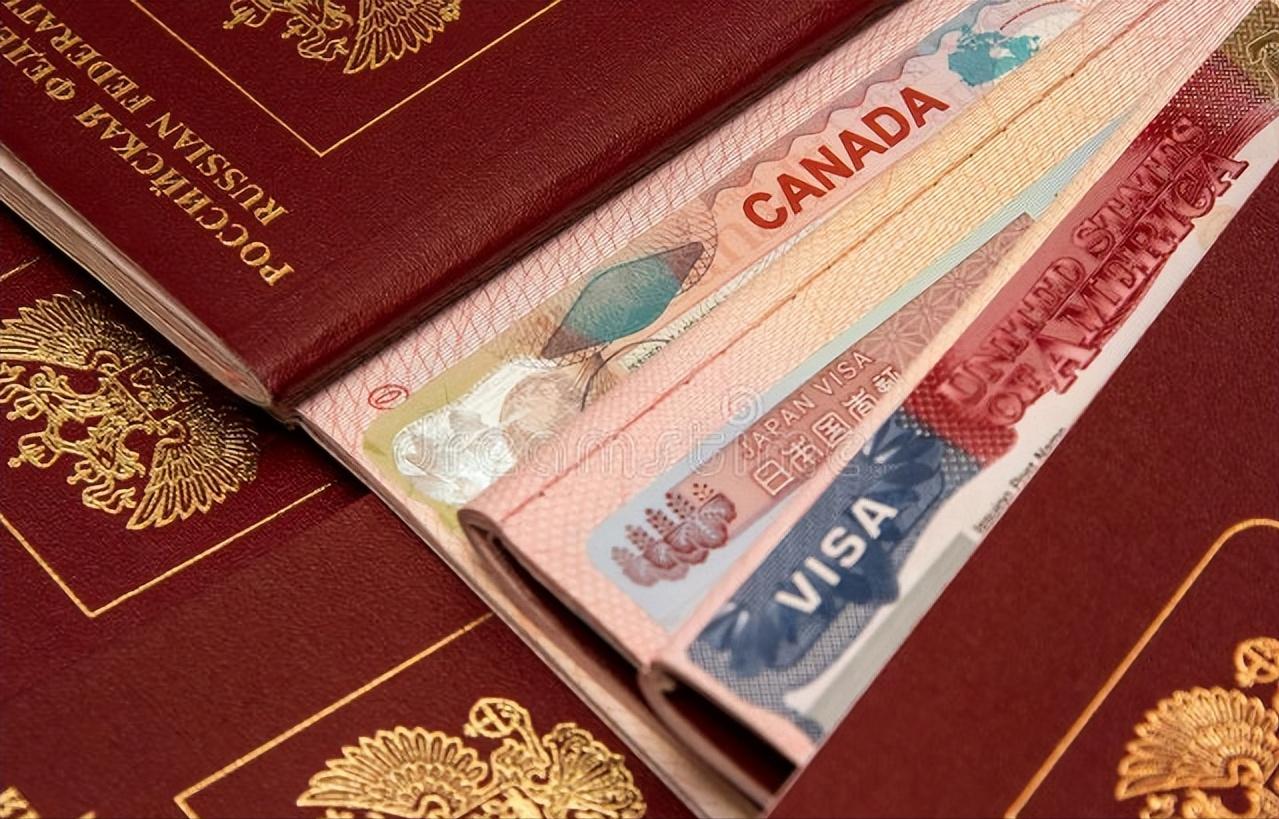 申请移民第一步应该是做什么,移民申请史