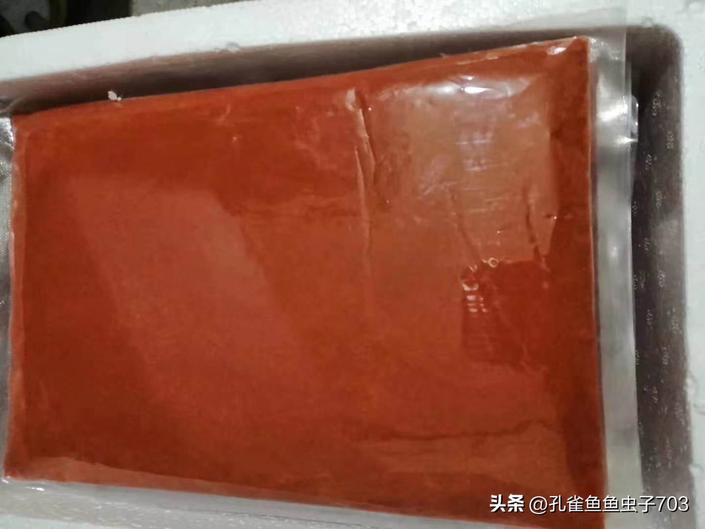 春季鱼为什么死亡如何救活,自己养的鱼无征兆死亡怎么回事