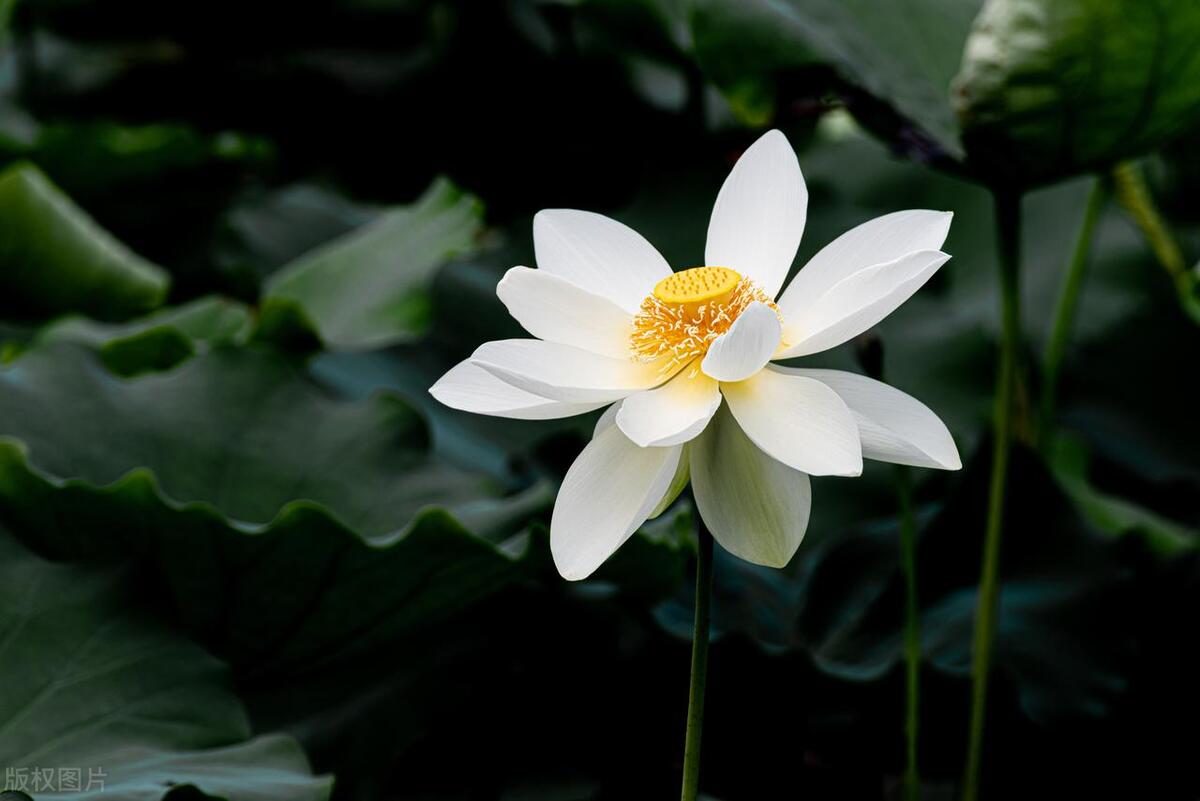 反诈电话提醒是真是假,电话智能反诈功能