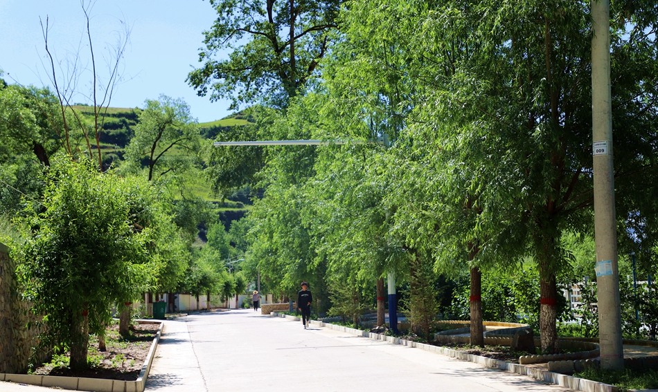 武山县杨河镇和美乡村展新颜,杨家山美丽乡村建设