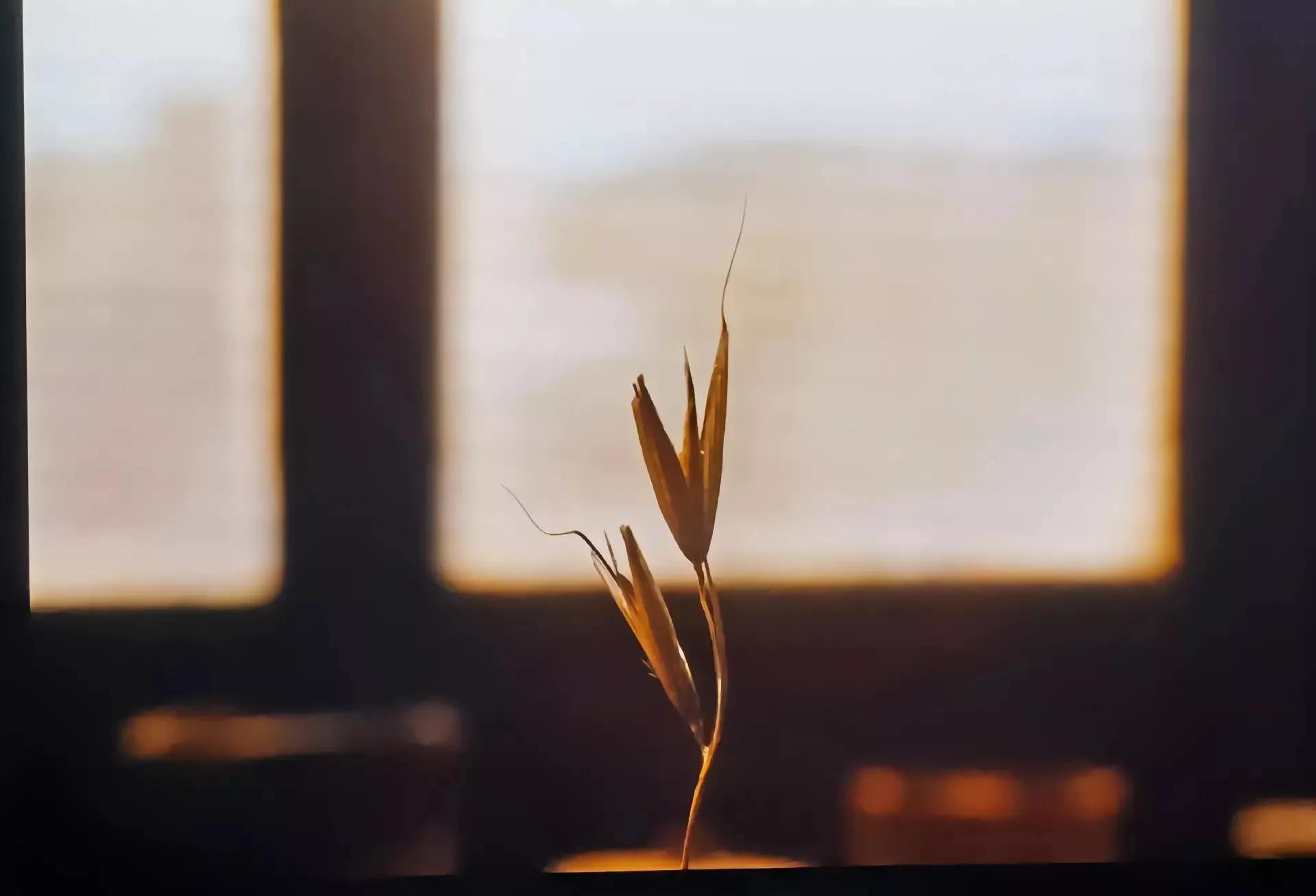 风云故事会之底层群众