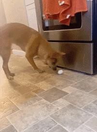 女厕的诡异事件,诡异女厕