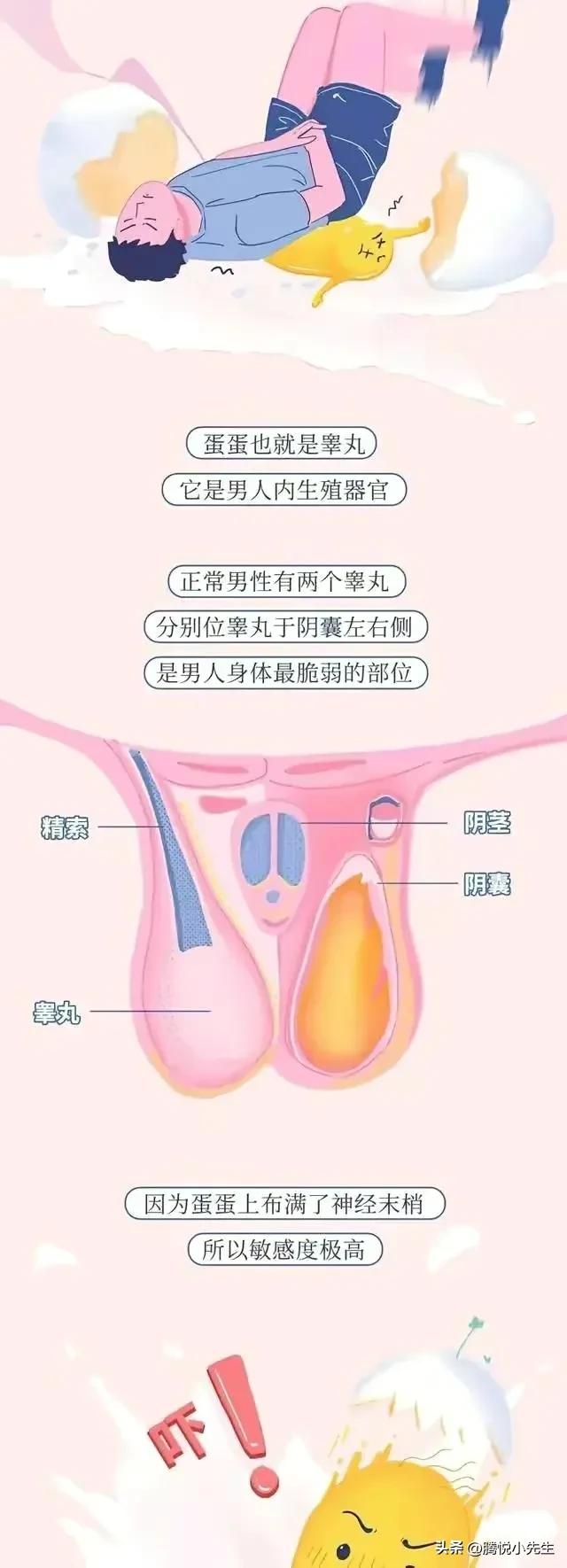 一组漫画告诉你，男生被“踢裆”，究竟有多疼？