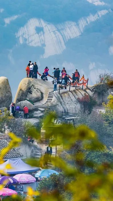 爱戴加厚内衣无痕无钢圈,爱戴最新内衣发布会