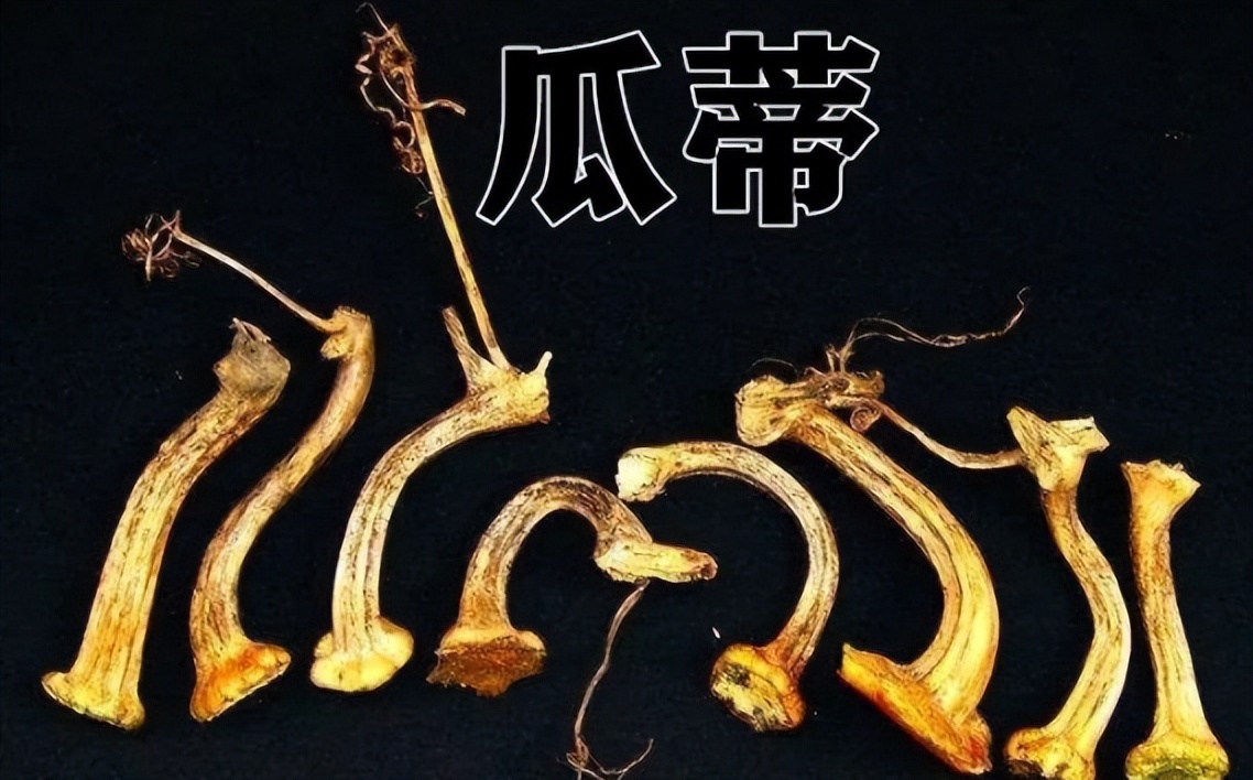 每日一味中药薏苡仁,每日一药木瓜