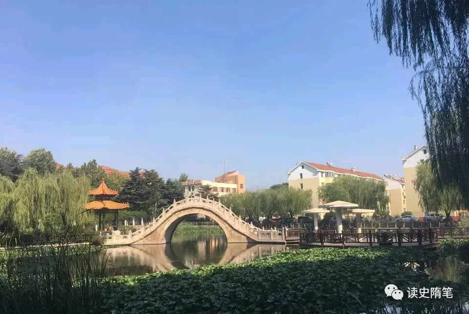 黄岛分为哪些区,黄岛区分哪几个区