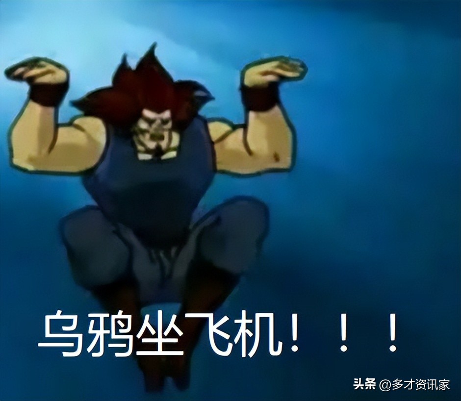 乌鸦坐飞机成龙历险记,乌鸦坐飞机小猴坐飞机