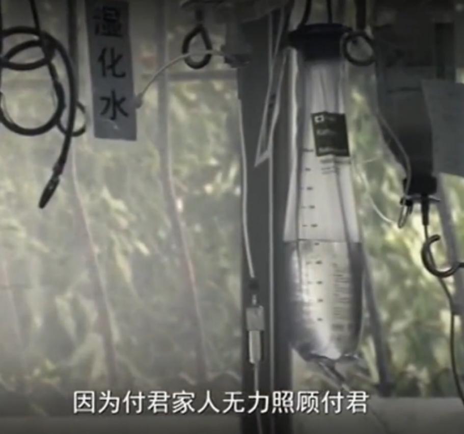 美女重伤成植物人，男友一家一起照料，美女醒来后让小伙左右为难