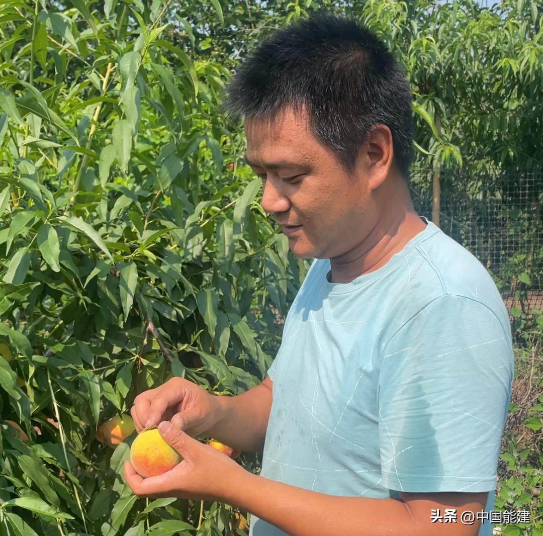 热销！我们的直播间，帮退伍军人卖掉15000斤滞销黄桃