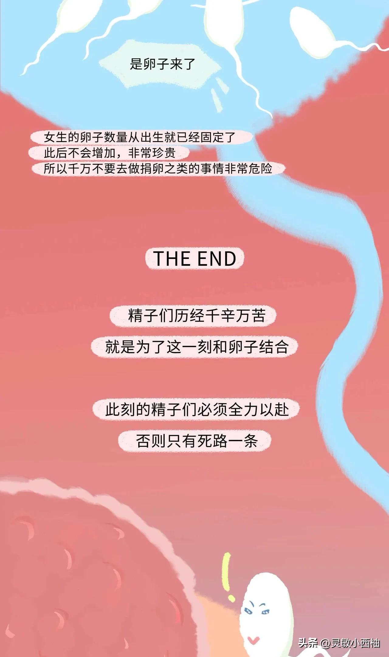 （漫画）精子进入女性体内的全过程，真的太神奇啦