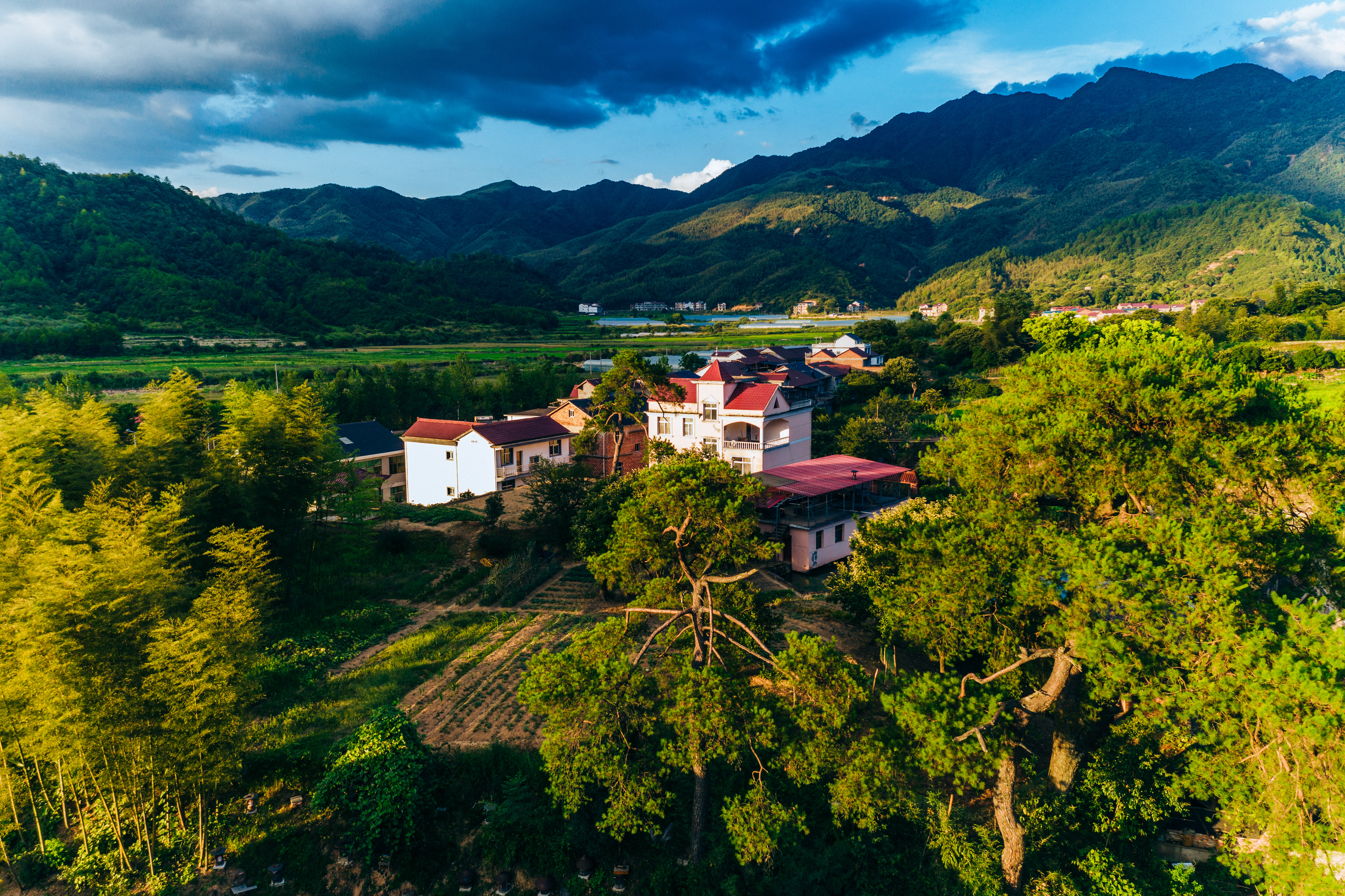 行游五府山：解密3宝，山野美味游走舌尖，传递平实的幸福