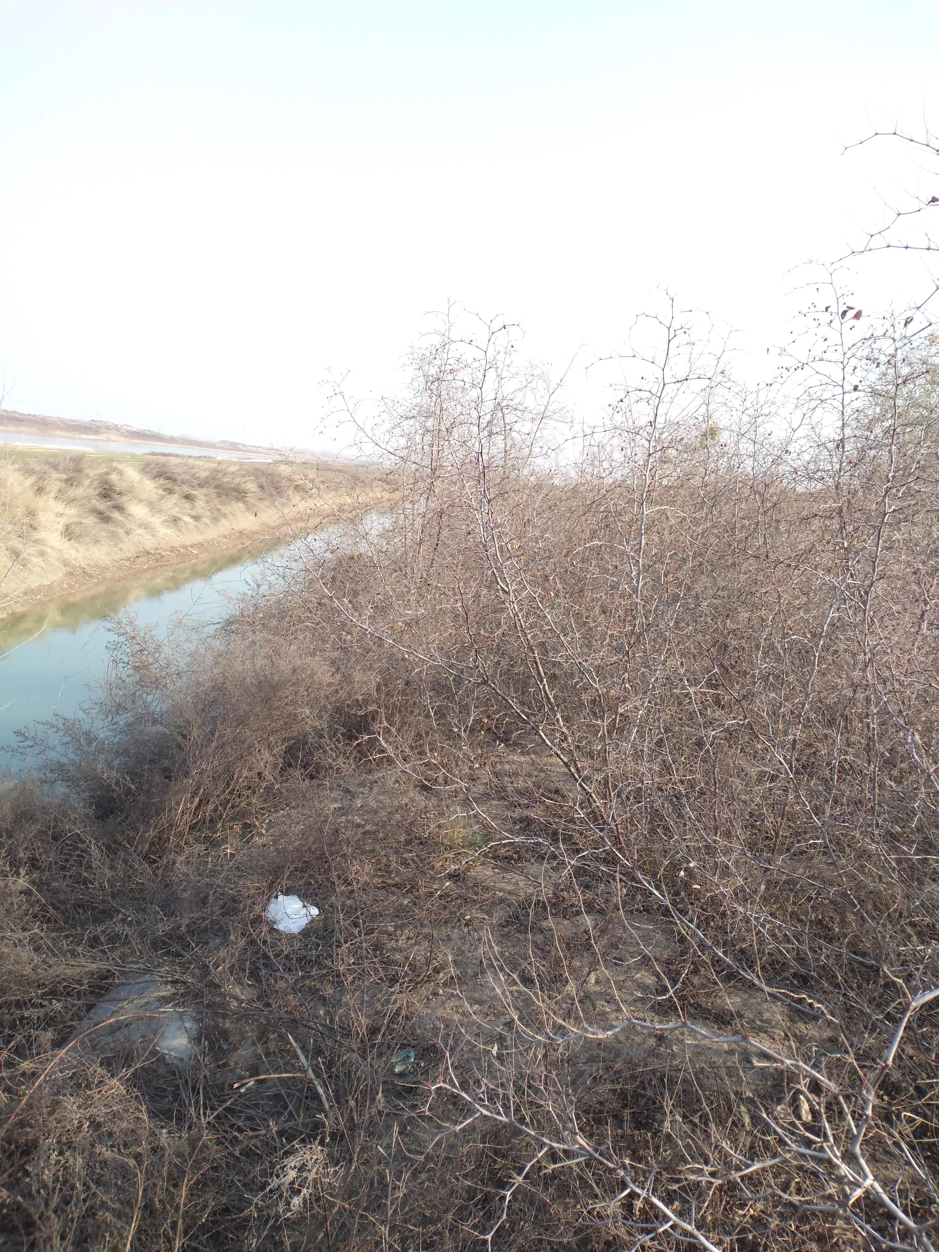 轻口鱼调漂调几目钓几目,野钓轻口鱼最简单的调漂方法