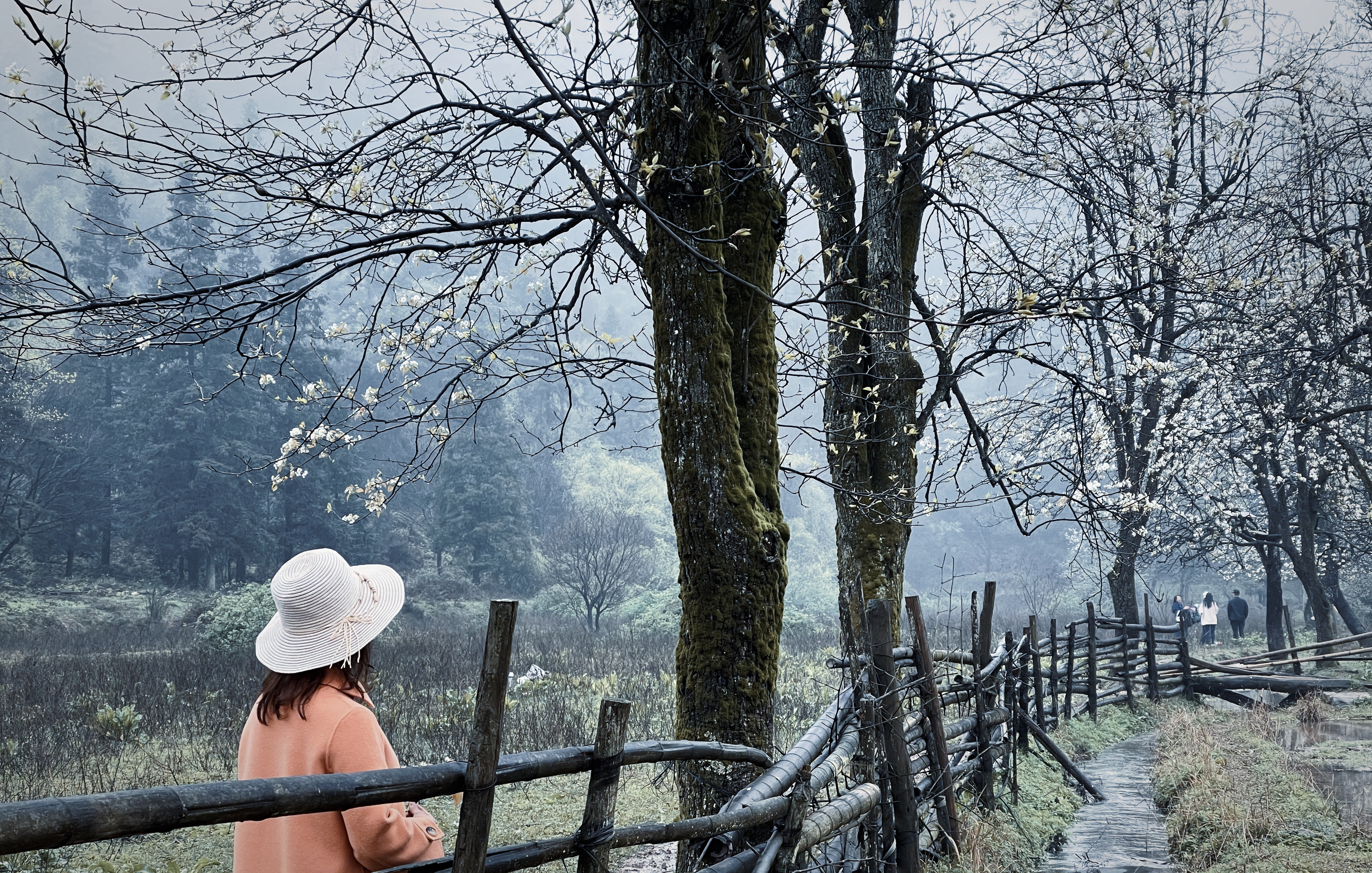 和平村，向往田园牧歌的乡间生活
