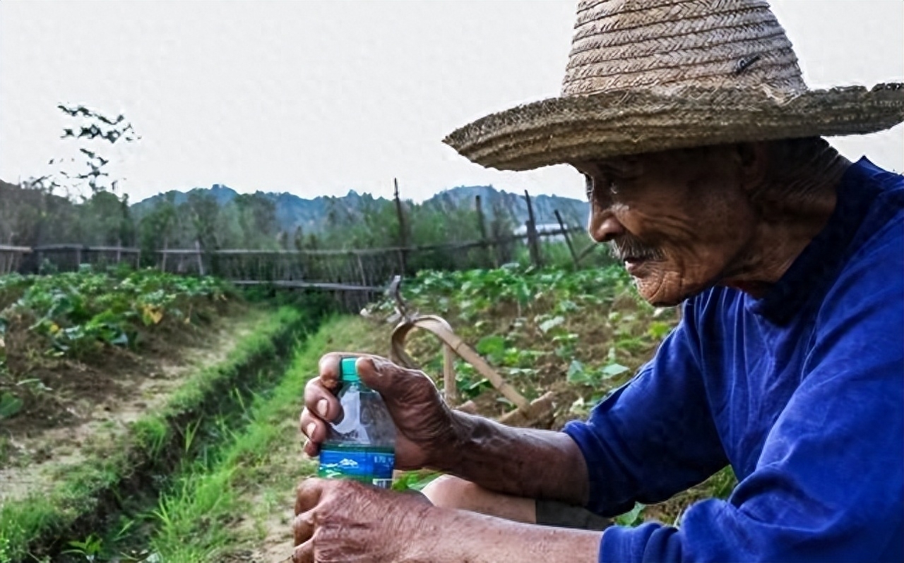儿子意外离世婆媳赔偿金分配,儿子死亡补偿金全被儿媳拿走